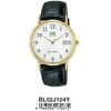 Laikrodis Q&Q modelis LADY DATE