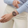 Laikrodis SWATCH modelis CRIMSON FOLIAGE