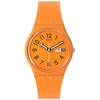 Laikrodis SWATCH modelis TRENDY LINES IN SIENNA