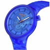 Laikrodis SWATCH WATCHES modelis SB05N116