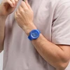 Laikrodis SWATCH WATCHES SB05N116