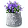 Polnix Dekoratyvinis gėlių vazonas Etno D13cm H11cm pilkas