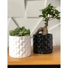 Polnix Dekoratyvinis gėlių vazonas Piano Ø13cm H12cm keraminis/juodas