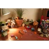 POLNIX Keraminis vazonas varlė PLAY, apvalus, žalias, 18 x 18(A) cm