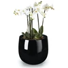 POLNIX Stiklo pluošto vazonas FIBERGLASS, apvalus, juodas, 34 x 35(A) cm