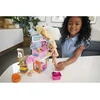 Barbie lėlių žaidimų rinkinys Gyvūnėlių butikėlis GRG90 Mattel