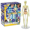 Brainstorm Interaktyvus edukacinis rinkinys „Build a Body“