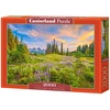 Castorland Dėlionė 2000 vnt. - Pievų žydėjimas