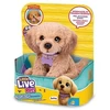 Cobi Maskotka little live pets - mój szczeniaczek