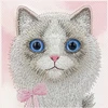 NIMMY dėklas BIG EYED RAGDOLL, skirtas IPHONE 18 Pro Max/17 Pro Max, rausvas