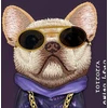 NIMMY dėklas akiniai COOL DOG skirtas IPHONE 18 Pro Max/17 Pro Max violetinė