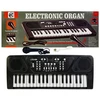Dideli organkai, pianinas, klaviatūra su mikrofonu