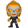 Funko POP! figūrėlė Infinity Warps Ghost Panther 860