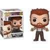 Funko POP! figūrėlė Movie American Gods Mad Sweeney 681