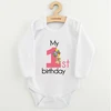 Kūdikių bodis su spaudiniu New Baby My first birthday rožinis