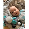 Lavinamasis pliušinis žaislas su segtuku Baby Mix zebras
