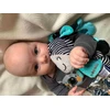 Lavinamasis pliušinis žaislas su segtuku Baby Mix zebras