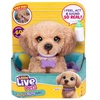 Moose Interaktyvus šuniukas Little Live Pets Daxie