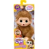 Moose Little Live Pets My Baby Mini Monkey 26765 26729 interaktyvi beždžionėlė