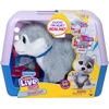 Moose Little Live Pets Ouchies Husky 26680 interaktyvus šuniukas gydytojo žaidimui