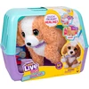 Moose Little Live Pets Ouchies Poodle 26733 interaktyvus pudelis gydytojo žaidimui