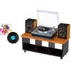 MGA's Miniverse muzikinis žaislas mini plokštelių grotuvas Real Music 254249-EUC
