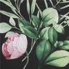 New Baby Peonies apsauginis lovelės čiužinio užvalkalas