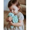 Pliušinis vėžlys žaislas kūdikiui Baby Mix, 26 cm, žalias