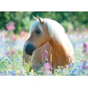 Ravensburger "2D" Dėlionė 300 vnt. - Arklys pievoje