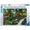 Ravensburger Dėlionė 2000 vnt. - Papūgos džiunglėse