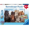 Ravensburger Dėlionė 2x24 vnt. - Arkliai