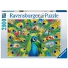 Ravensburger Dėlionė 2000 vnt. - Povo žemė