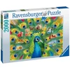 Ravensburger Dėlionė 2000 vnt. - Povo žemė