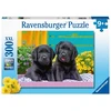 Ravensburger Dėlionė 300 vnt. - Maži lambradorai
