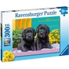 Ravensburger Dėlionė 300 vnt. - Maži lambradorai