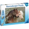 Ravensburger Dėlionė 150 vnt. - Arkliai