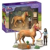 Schleich Žirgų priežiūros rinkinys Emily