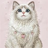 NIMMY dėklas LUCKY FASHION CAT, suderinamas su MagSafe, skirtas IPHONE 18 Pro/17 Pro, rožinis