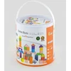 Viga Colorful medinės kaladėlės vaikams, 50 vnt.