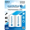 everActive Professional paruoštas naudojimui 5000mAh C akumuliatorius, 2 vnt.