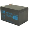 Mw Power MWPower MWP 12V 12Ah F2(250) AGM akumuliatorius, 12 metų