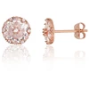 Diamond Sky Jewelry Auksiniai auskarai-vinukai su cirkoniais „Auksinis Aureolė“