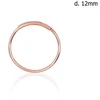 Diamond Sky Jewelry Auksinis nosies auskaras „Rondo II“