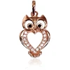 Diamond Sky Jewelry Auksinis pakabukas su cirkoniais „Owl VIII“