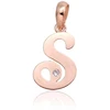 Diamond Sky Jewelry Auksinis raidės pakabukas su cirkoniais „S IV“