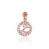 Diamond Sky Jewelry Auksinis raidės pakabukas su cirkoniais „L“