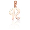 Diamond Sky Jewelry Auksinis raidės pakabukas su cirkoniais „R IV“