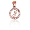 Diamond Sky Jewelry Auksinis raidės pakabukas su cirkoniais „J“