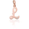 Diamond Sky Jewelry Auksinis raidės pakabukas su cirkoniais „L IV“