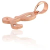 Diamond Sky Jewelry Auksinis raidės pakabukas su cirkoniais „L IV“